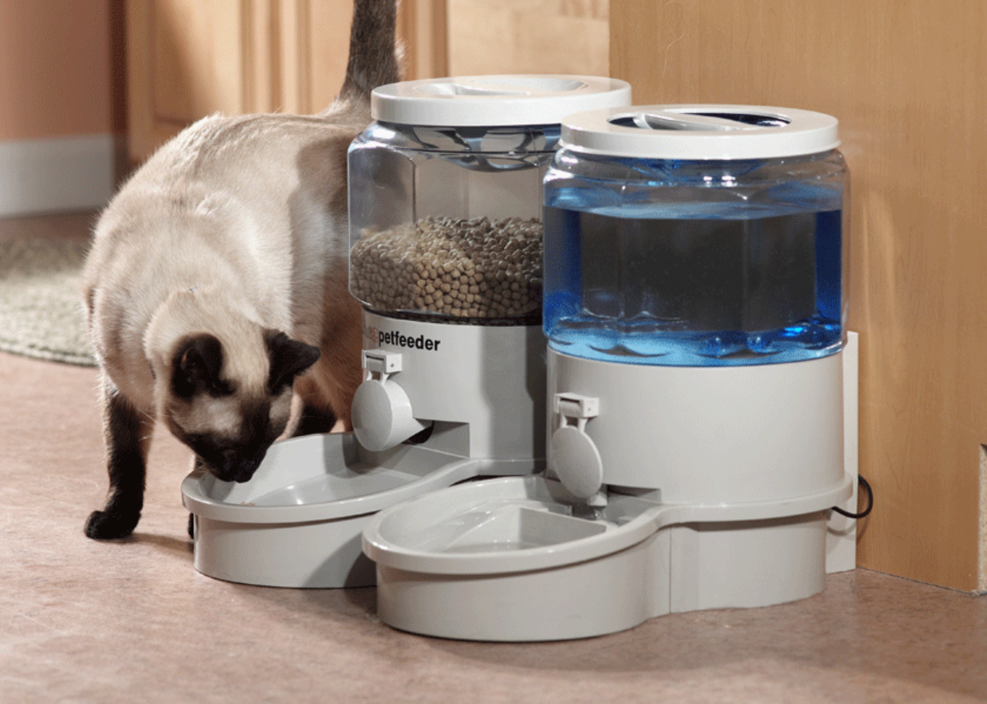 1. Cómo Elegir el Mejor Comedero para tu Mascota