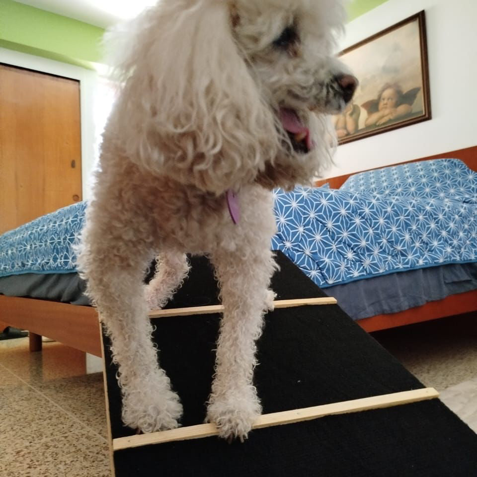 La Rampa Sencilla