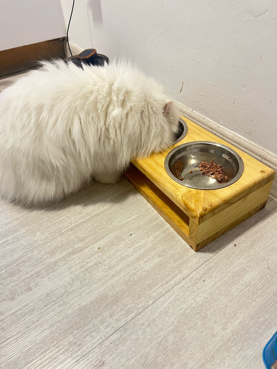 El Comedor