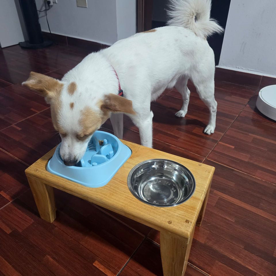 Comedor Slow Chow
